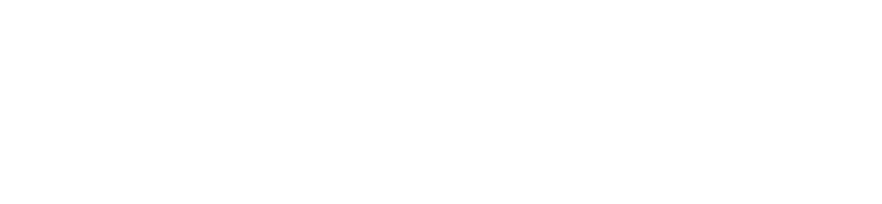 Funnel Experts - Michael Arruda - OMNI Brasil - Plenamente Logo